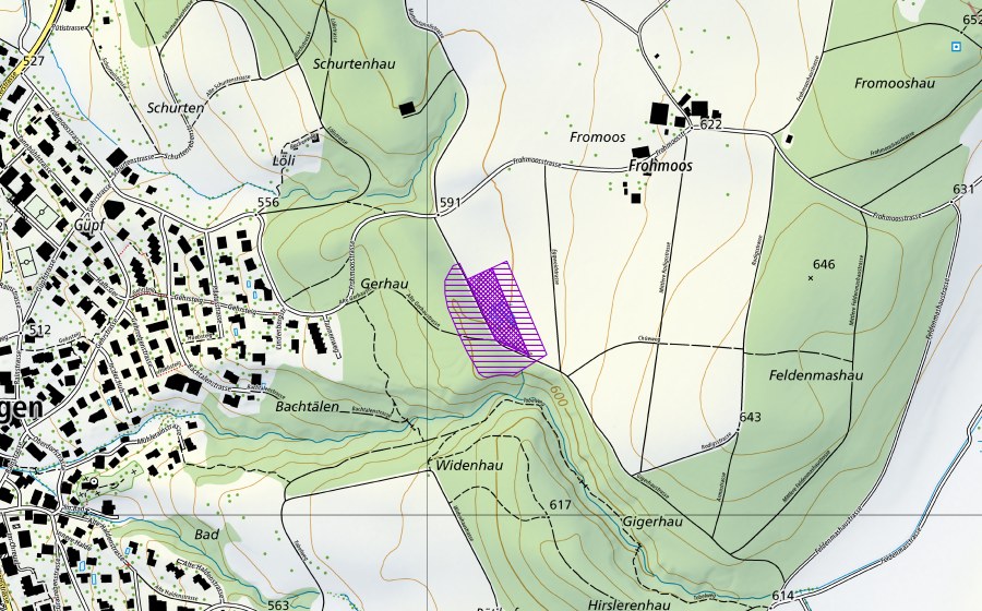 Carte nationale swisstopo avec le périmètre protégé de Weiher Fromoos (Gerhauweiher) (Site de reproduction de batraciens)