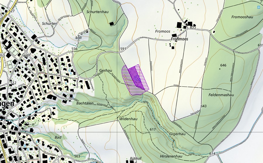 swisstopo national map showing the protected perimeter of Weiher Fromoos (Gerhauweiher) (Amphibian spawning site)