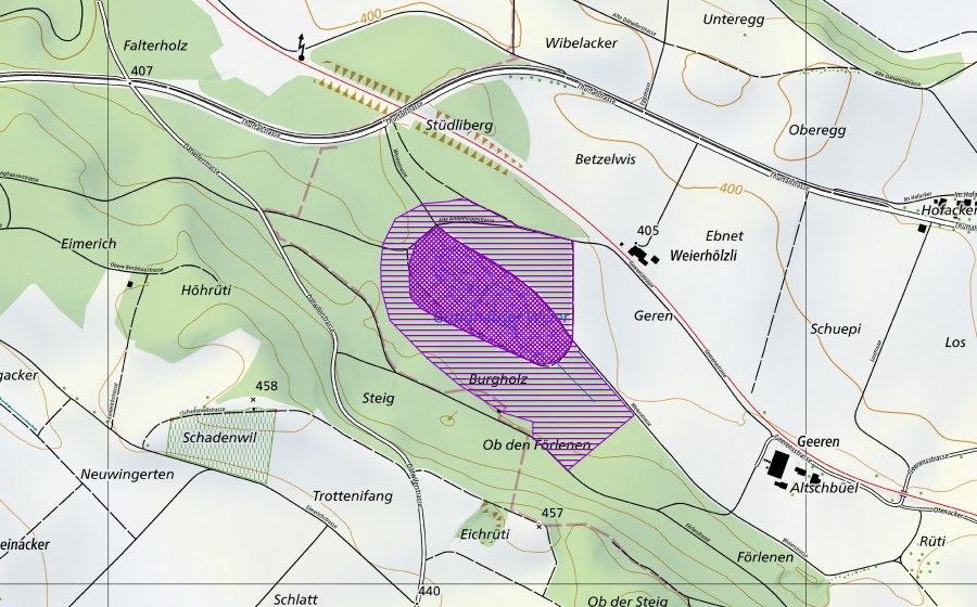 Landeskarte swisstopo mit dem Schutzperimeter von Weiher Gütighausen (Amphibienlaichgebiet)