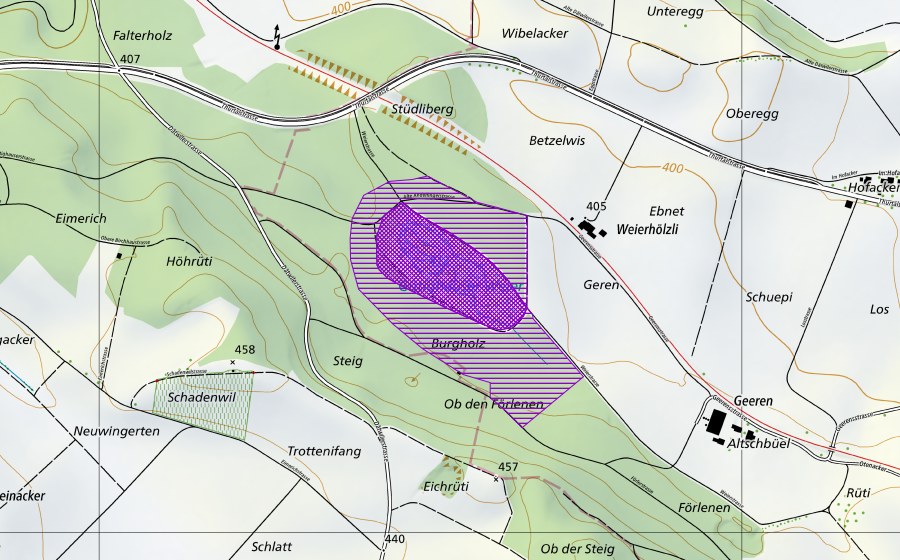 swisstopo national map showing the protected perimeter of Weiher Gütighausen (Amphibian spawning site)