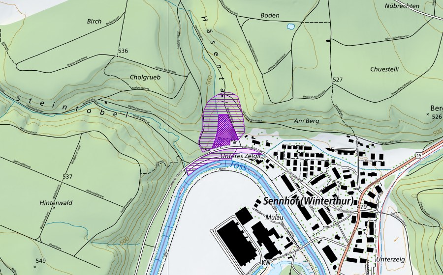 swisstopo national map showing the protected perimeter of Weiher Häsental (Amphibian spawning site)