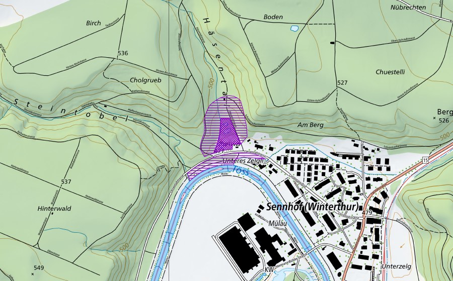 swisstopo national map showing the protected perimeter of Weiher Häsental (Amphibian spawning site)