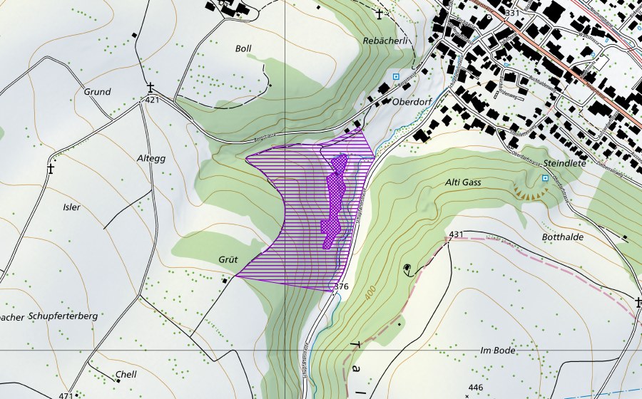 Landeskarte swisstopo mit dem Schutzperimeter von Weiher im Tal (Amphibienlaichgebiet)