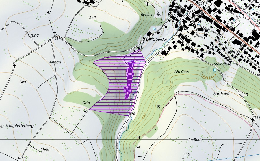 Landeskarte swisstopo mit dem Schutzperimeter von Weiher im Tal (Amphibienlaichgebiet)