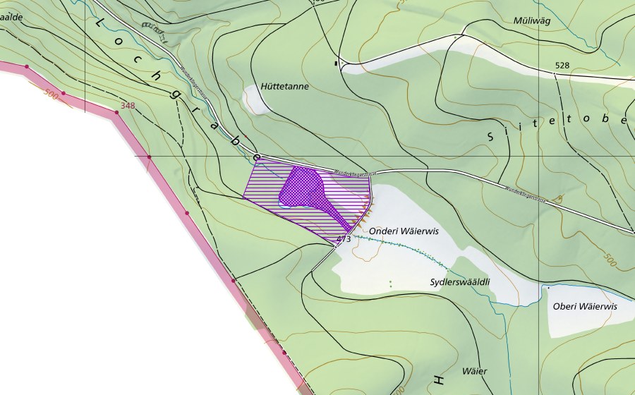 swisstopo national map showing the protected perimeter of Weiher Lochgraben (Amphibian spawning site)