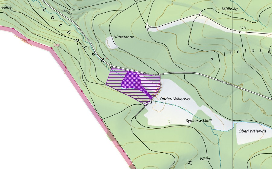 swisstopo national map showing the protected perimeter of Weiher Lochgraben (Amphibian spawning site)
