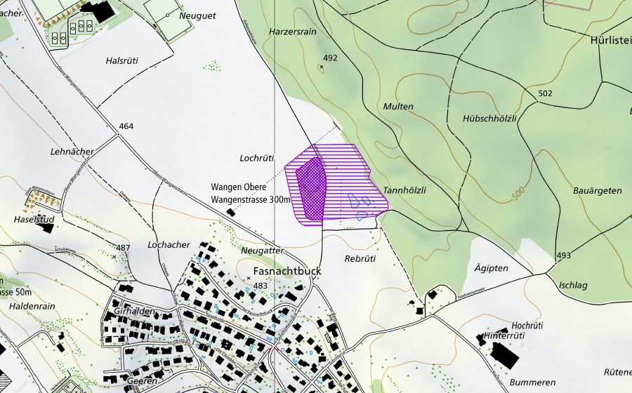 swisstopo national map showing the protected perimeter of Weiher Lochrüti (Amphibian spawning site)