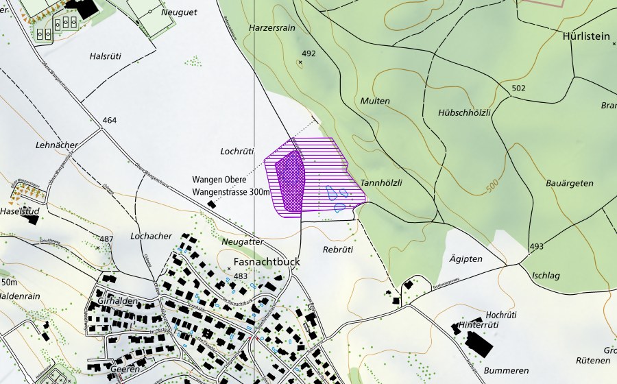 Landeskarte swisstopo mit dem Schutzperimeter von Weiher Lochrüti (Amphibienlaichgebiet)