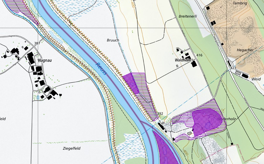 Carte nationale swisstopo avec le périmètre protégé de Weiher N Lorzespitz (Site de reproduction de batraciens)