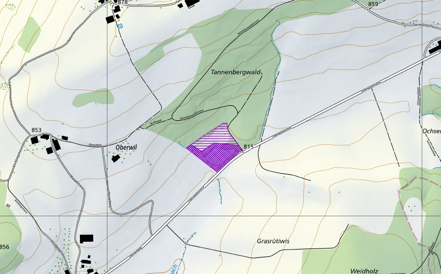 Landeskarte swisstopo mit dem Schutzperimeter von Weiher NE Hohfirst (Amphibienlaichgebiet)