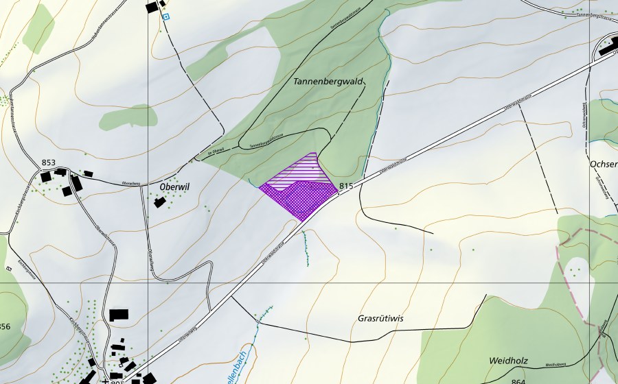 swisstopo national map showing the protected perimeter of Weiher NE Hohfirst (Amphibian spawning site)