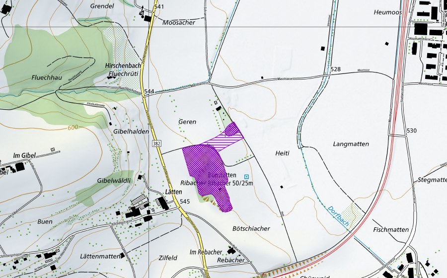 swisstopo national map showing the protected perimeter of Weiher und Grube bei Ribacher (Amphibian spawning site)