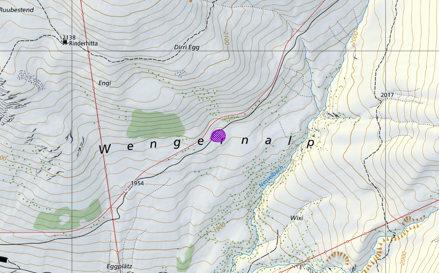 Landeskarte swisstopo mit dem Schutzperimeter von Wengernalp Weiher (Amphibienlaichgebiet)