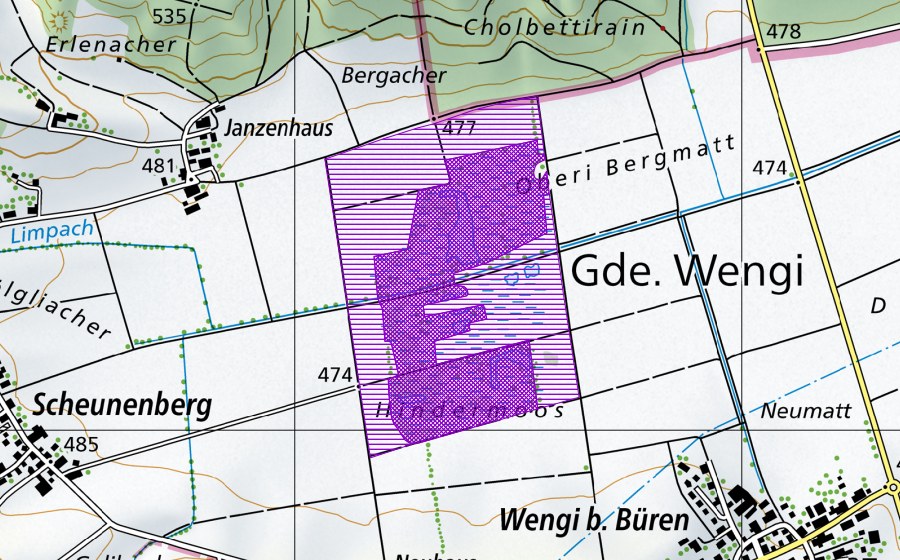 swisstopo national map showing the protected perimeter of Wengimoos (Amphibian spawning site)