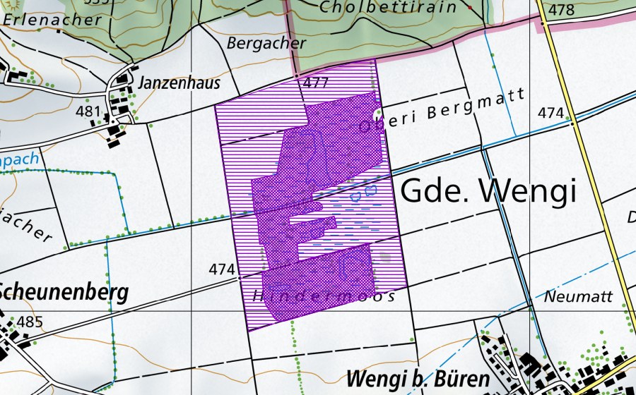 swisstopo national map showing the protected perimeter of Wengimoos (Amphibian spawning site)