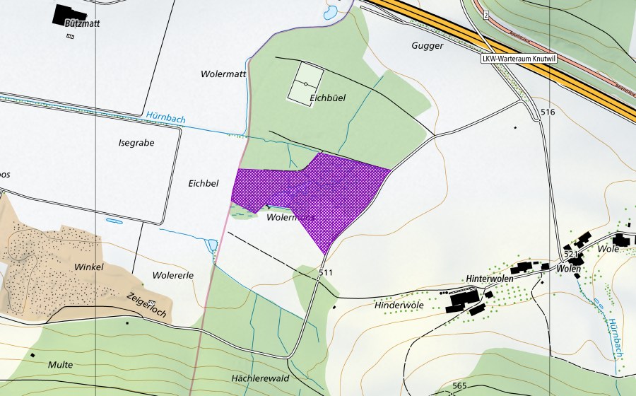 swisstopo national map showing the protected perimeter of Wolermoos (Amphibian spawning site)