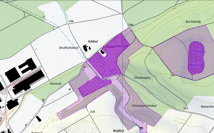 swisstopo national map showing the protected perimeter of Wolfhöhli/Chüelespitz (Amphibian spawning site)