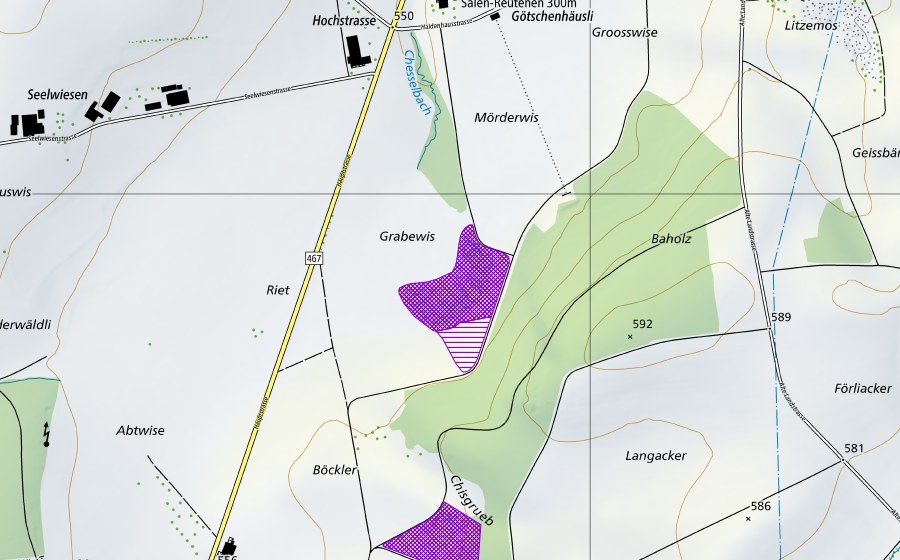 Carte nationale swisstopo avec le périmètre protégé de Wolfsgrueb (Site de reproduction de batraciens)