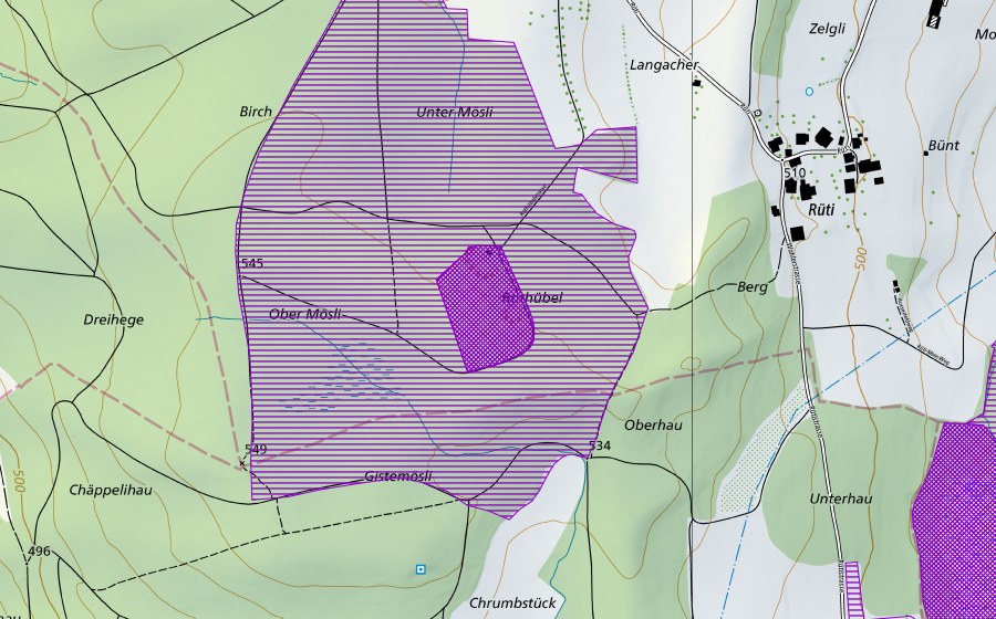 swisstopo national map showing the protected perimeter of Wolfshüsli (Amphibian spawning site)