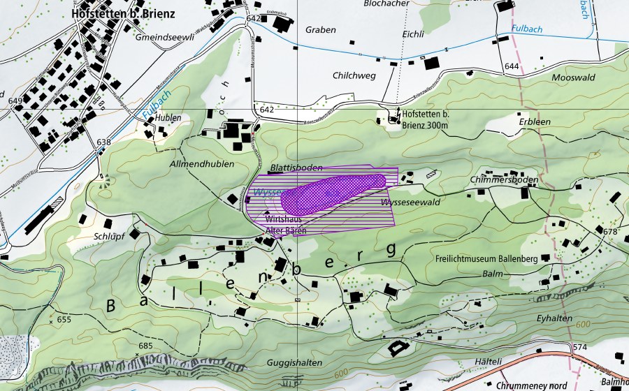 Carta nazionale swisstopo con il perimetro protetto di Wyssensee (Sito di riproduzione di anfibi)