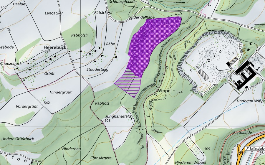 swisstopo national map showing the protected perimeter of Zementi Wippel West (Amphibian spawning site)