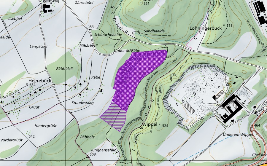 Carte nationale swisstopo avec le périmètre protégé de Zementi Wippel West (Site de reproduction de batraciens)