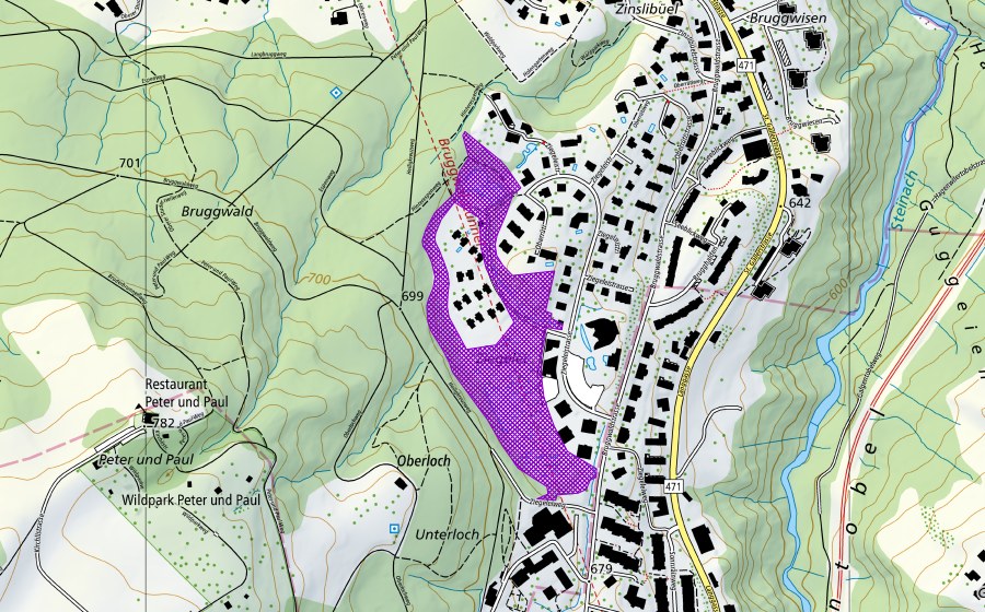Landeskarte swisstopo mit dem Schutzperimeter von Ziegelei Bruggwald (Amphibienlaichgebiet)