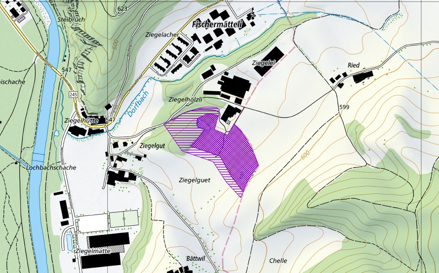 swisstopo national map showing the protected perimeter of Ziegelei Fischermätteli (Amphibian spawning site)