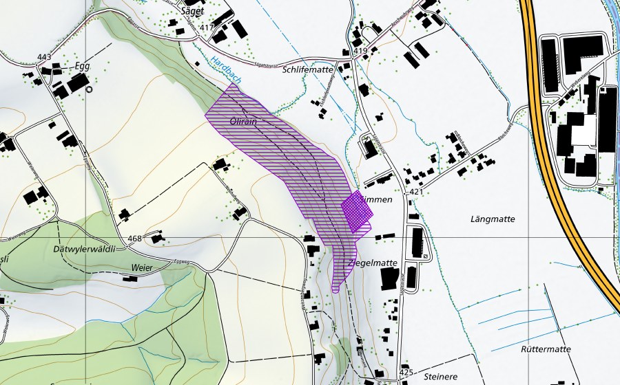 Landeskarte swisstopo mit dem Schutzperimeter von Ziegelmatt (Amphibienlaichgebiet)