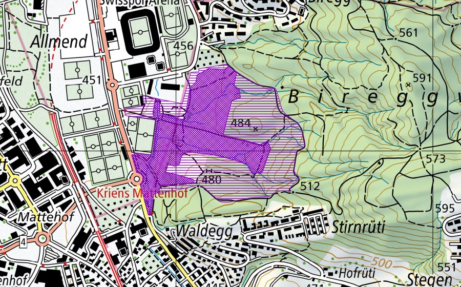 Landeskarte swisstopo mit dem Schutzperimeter von Zihlmatt Allmend (Amphibienlaichgebiet)