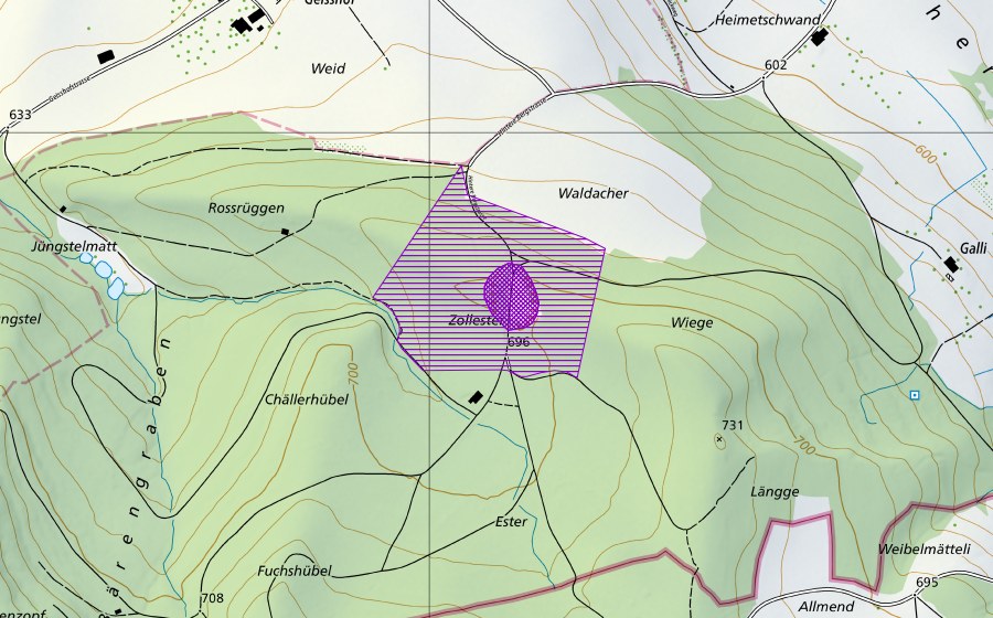 Carte nationale swisstopo avec le périmètre protégé de Zollester (Site de reproduction de batraciens)