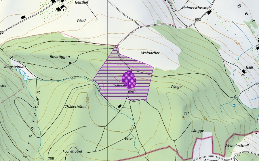 swisstopo national map showing the protected perimeter of Zollester (Amphibian spawning site)