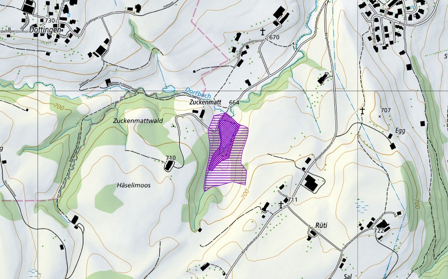 Carta nazionale swisstopo con il perimetro protetto di Zuckenmattweiher (Sito di riproduzione di anfibi)