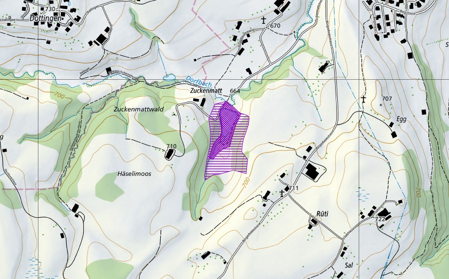 Carte nationale swisstopo avec le périmètre protégé de Zuckenmattweiher (Site de reproduction de batraciens)