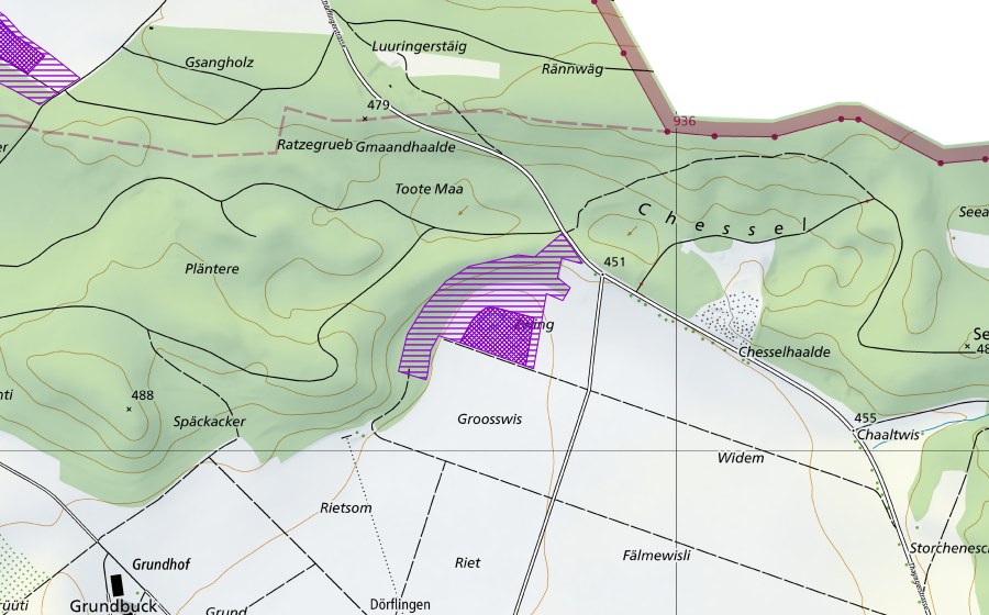 swisstopo national map showing the protected perimeter of Zwing (Amphibian spawning site)