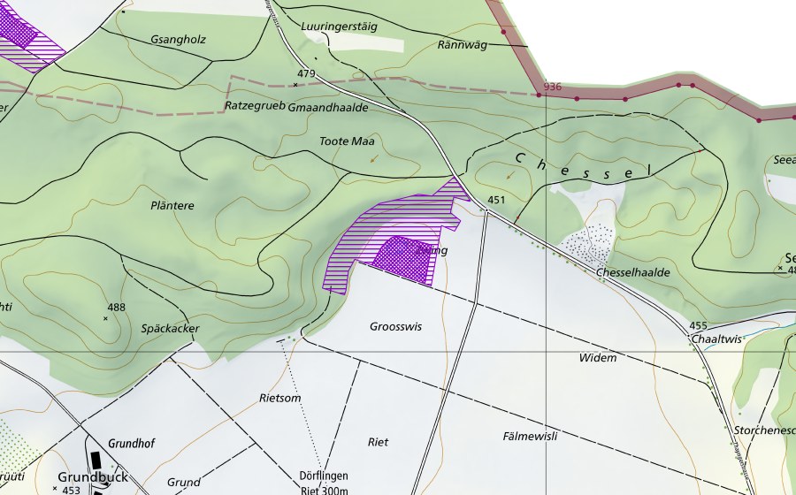 swisstopo national map showing the protected perimeter of Zwing (Amphibian spawning site)