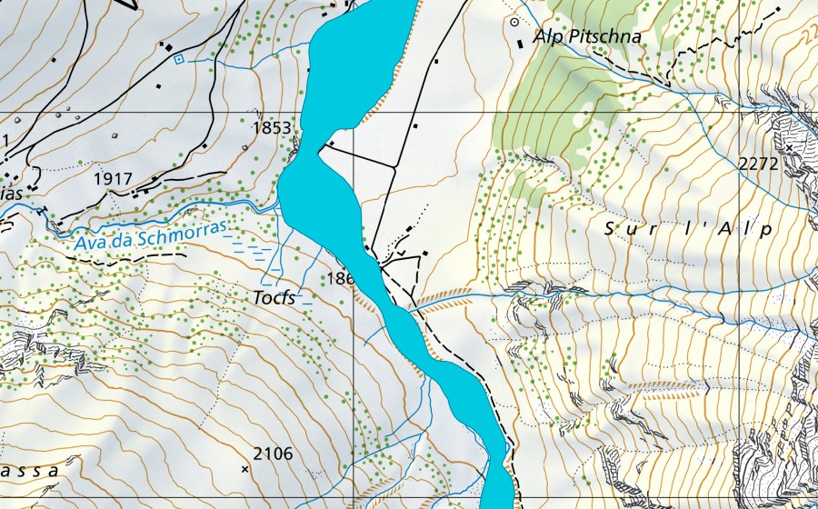 Carte nationale swisstopo avec le périmètre protégé de Alp Curtegns (Zone alluviale)