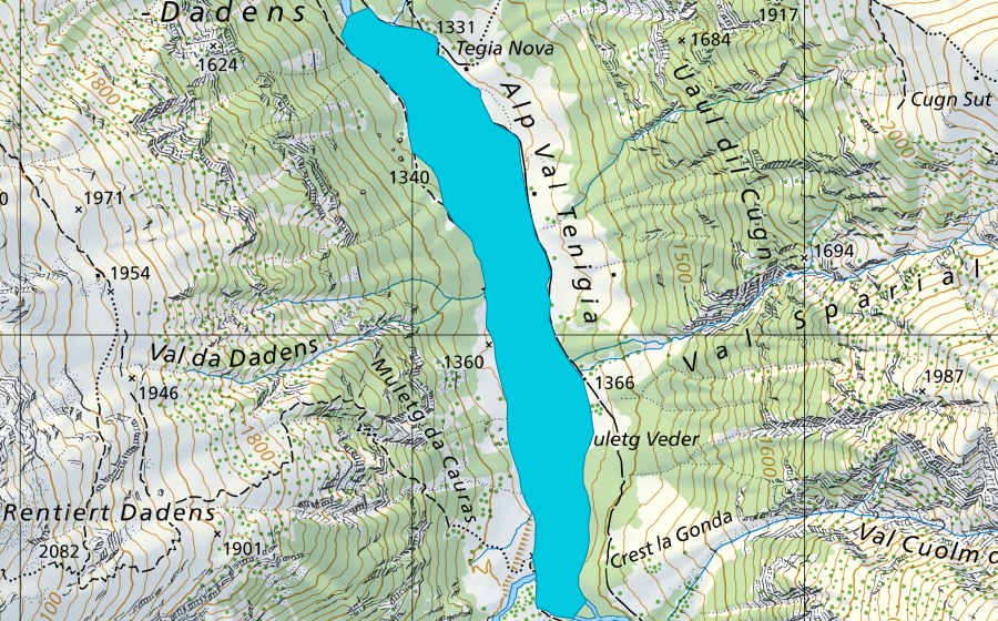 swisstopo national map showing the protected perimeter of Alp Val Tenigia (Floodplain)