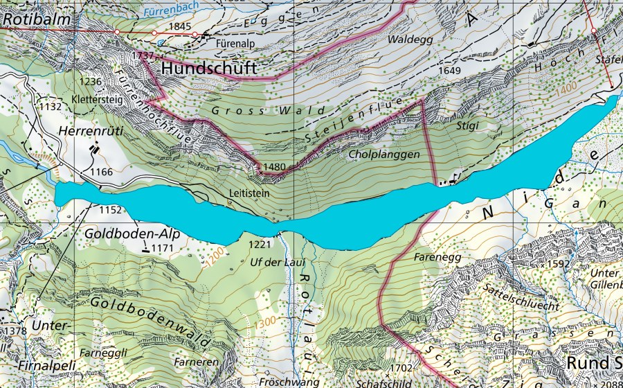 Carte nationale swisstopo avec le périmètre protégé de Alpenrösli - Herrenrüti (Zone alluviale)