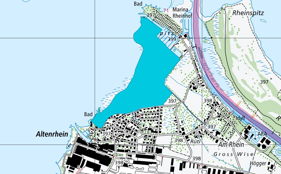 Carta nazionale swisstopo con il perimetro protetto di Altenrhein (Zona golenale)
