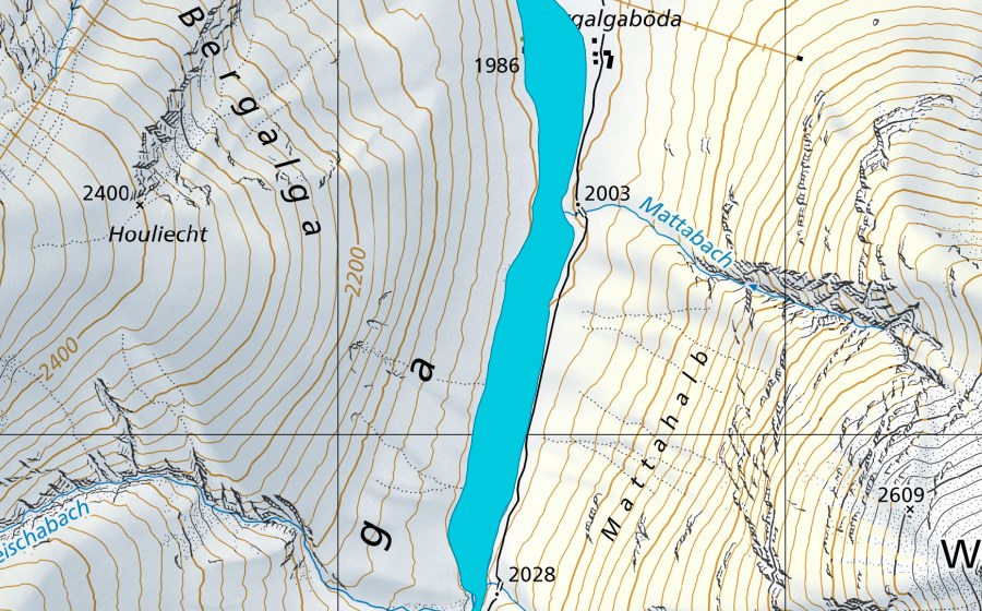 Landeskarte swisstopo mit dem Schutzperimeter von Bergalga (Auengebiet)