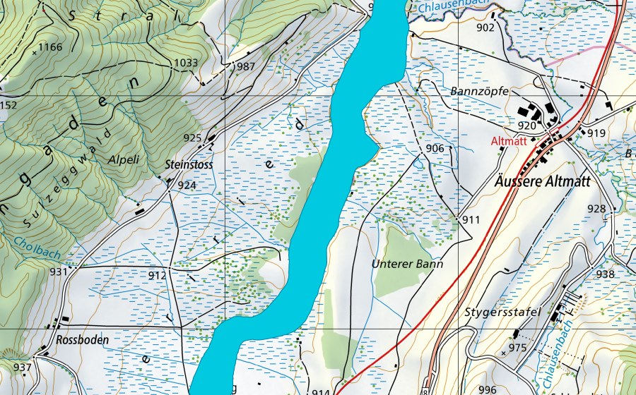 Carta nazionale swisstopo con il perimetro protetto di Biber im Ägeriried (Zona golenale)