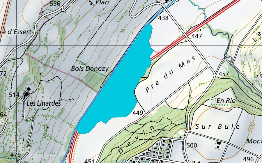 Landeskarte swisstopo mit dem Schutzperimeter von Bois de Vaux (Auengebiet)