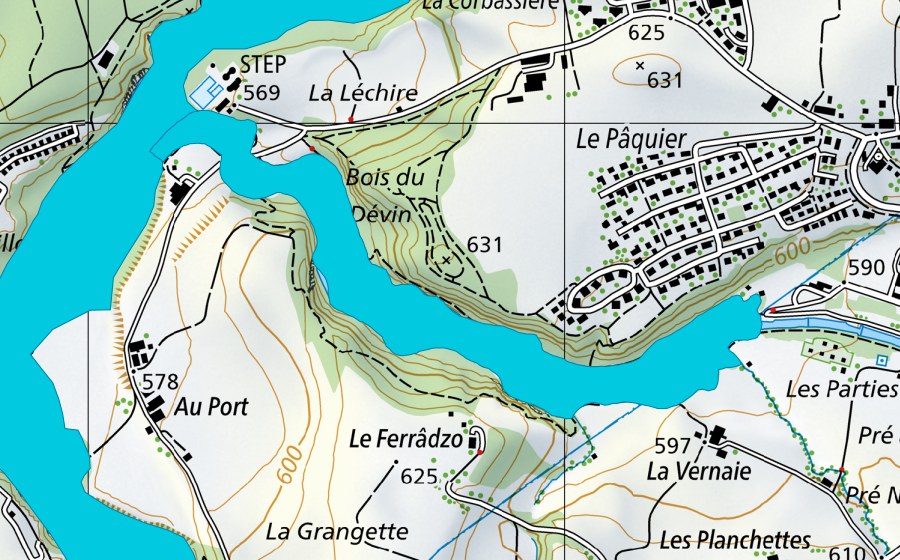 Carte nationale swisstopo avec le périmètre protégé de Bois du Dévin (Zone alluviale)