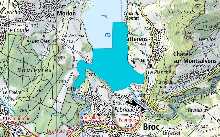 Landeskarte swisstopo mit dem Schutzperimeter von Broc (Auengebiet)
