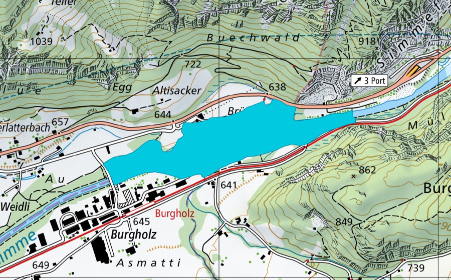 Carta nazionale swisstopo con il perimetro protetto di Brünnlisau (Zona golenale)