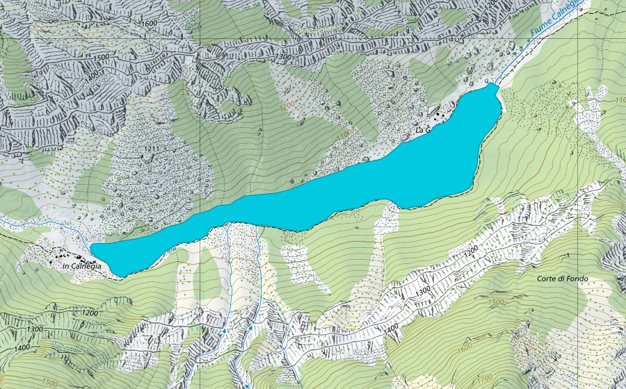 Carte nationale swisstopo avec le périmètre protégé de Calnegia (Zone alluviale)