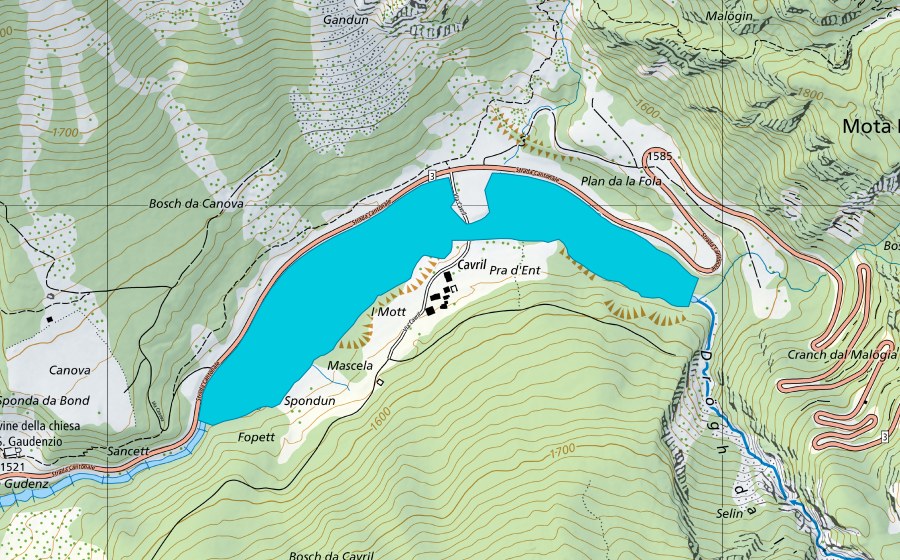Landeskarte swisstopo mit dem Schutzperimeter von Cavril (Auengebiet)