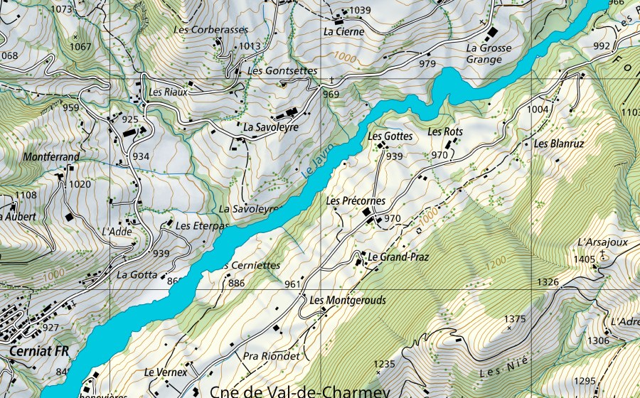Landeskarte swisstopo mit dem Schutzperimeter von Cerniat - La Valsainte (Auengebiet)