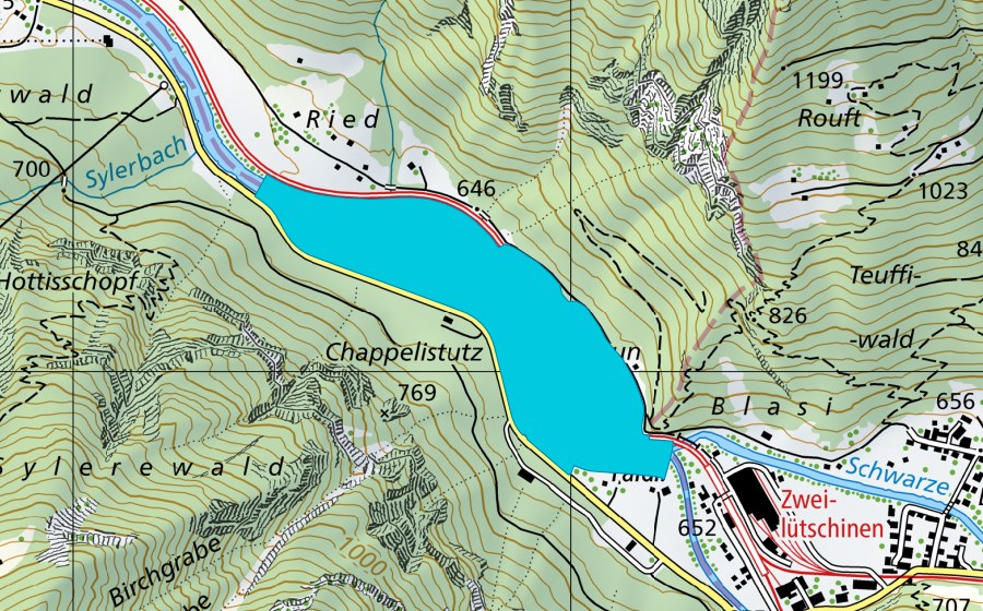 Landeskarte swisstopo mit dem Schutzperimeter von Chappelistutz (Auengebiet)